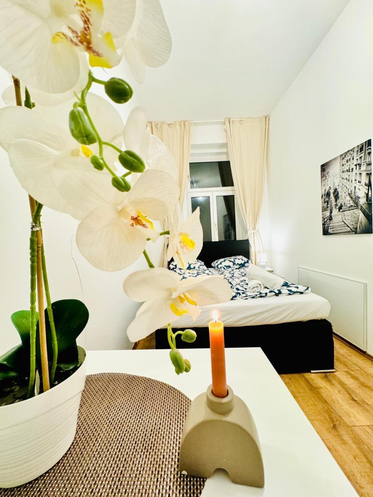 Appartement Charming 5br Shared Apt, Minutes From Atzgersdorf Vienne