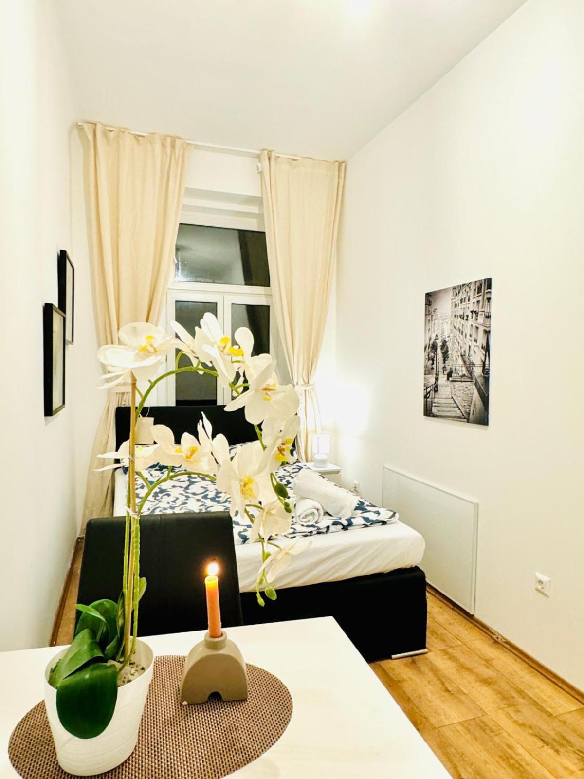 Charming 5br Shared Apt, Minutes From Atzgersdorf Appartement
